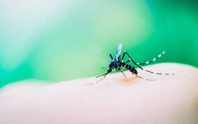 Centro-Oeste tem registro de 4ª morte por dengue